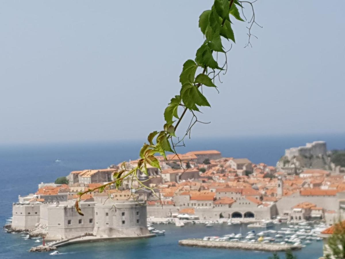 Studio Apartment Bupić Dubrovnik Exterior foto